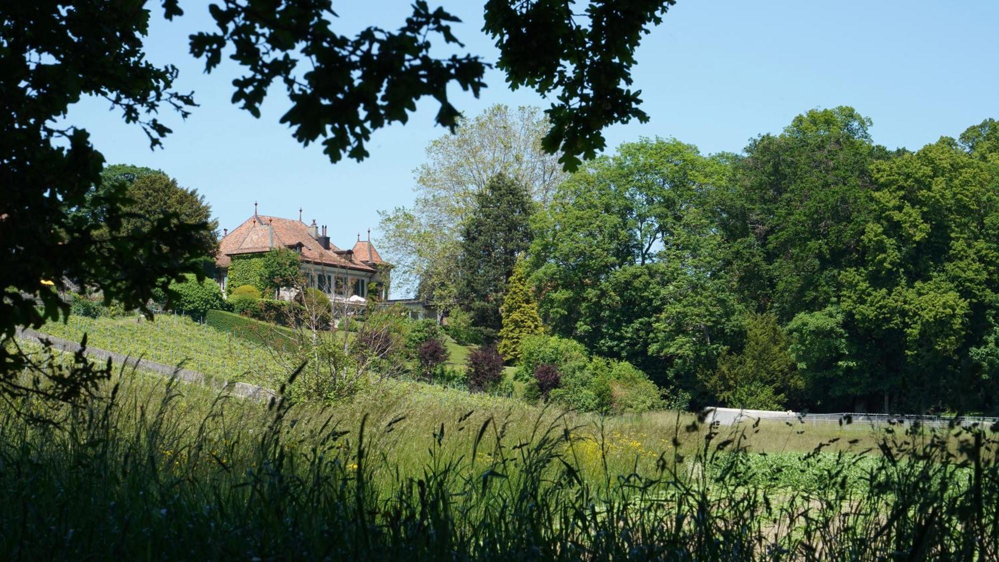 Lavigny Le Chateau מראה חיצוני תמונה